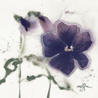Martha Kisling - Pansies V