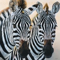 Danielle Beck - Zebre De Gol  