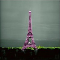 Anne Valverde - Paris - Pinky Eiffel Tower