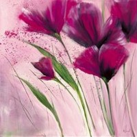 Isabelle Zacher-Finet - Pavot d'hiver II