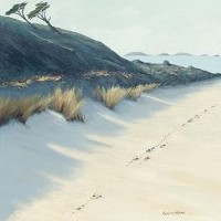 Caroline Atkinson - Bay Shadows