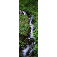Renée Pehr - Slim Forest Waterfall