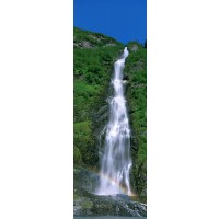 Renée Pehr - Tropical Waterfall