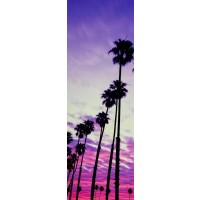 Darell Estrada - California Palm Trees I