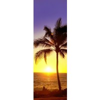 Darell Estrada - California Palm Trees IV
