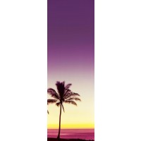 Darell Estrada - California Palm Trees V