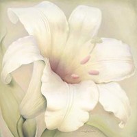 Anna Gardner - Lily I
