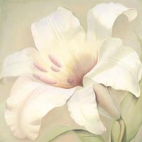 Anna Gardner - Lily II