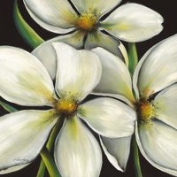 Karen Plimpton - Lily I