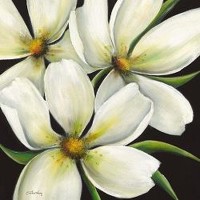 Karen Plimpton - Lily II