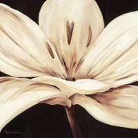 Rian Withaar - Fantastic Gerbera I