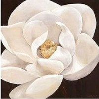 Rian Withaar - Fantastic Gerbera II