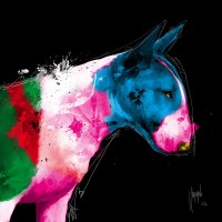 Patrice Murciano - Animals - Dog - Bull