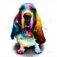 Patrice Murciano - Animals - Dog - Diesel