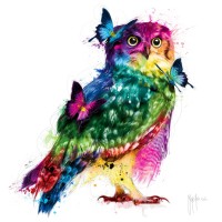 Patrice Murciano - Animals - Owl - La Chouette