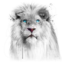 Patrice Murciano - Animals White - Lion
