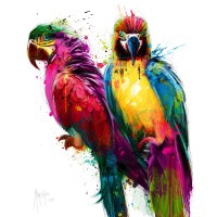 Patrice Murciano - Animals - Parrots - Tropical Colors (Perroquets)