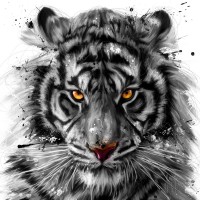 Patrice Murciano - Animals White - Tiger II
