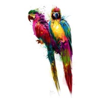 Patrice Murciano - Animals - Parrots - Tropical Colors (Perroquets)