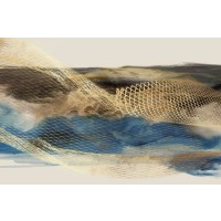 Emma Peal - Metalic Lace III