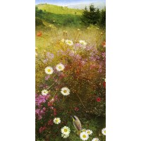 Chris Vest - In the Meadow II