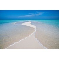 Dennis Frates  - Oceans Meet