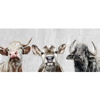 Dina Perejogina - Animal Friends II