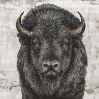 Dina Perejogina - Bison Presence 