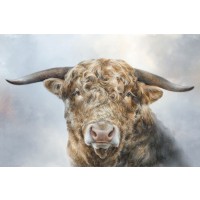 Dina Perejogina - Mighty Bull