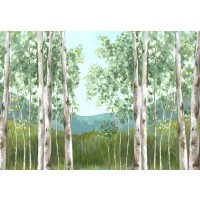 Eva Watts - Behind Mountains