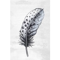 Eva Watts  - Indigo Feather II