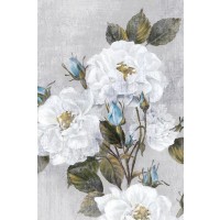 Eva Watts - Graceful I 