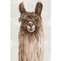 Eva Watts - Suri Alpaca I 
