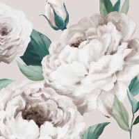 Eva Watts - Felicity I 
