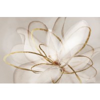 Eva Watts - Transparent Beauty III 