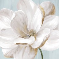Eva Watts - Soft White II