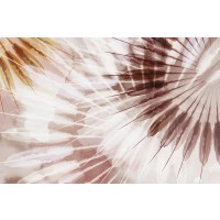 Eva Watts - Dance of the Rays I 