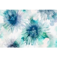 Eva Watts - Beyond Bloom