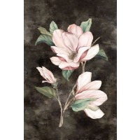 Eva Watts - Pink Magnolia II 