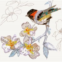 Elizabeth St Hilaire - Black Cap Chickadee