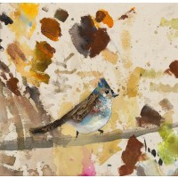 Daniel St Amant - Blue Jay 