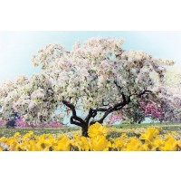Jessica Jenney - Pastel Park