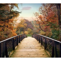 Jessica Jenney - Autumn Encounter