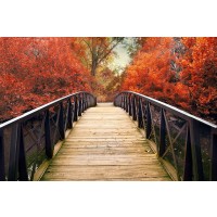 Jessica Jenney - Ardent Autumn 