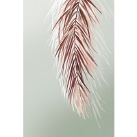 Asia Jensen - Grasses Palms II