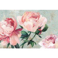 Asia Jensen - Rosebush 