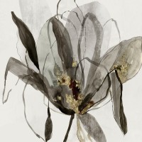 Asia Jensen - Charcole in Bloom 