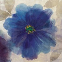 Asia Jensen - Indigo Dreams I