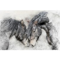 Kim Curinga - Equine Friendship