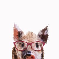 Kim Curinga - Peekaboo Pig 